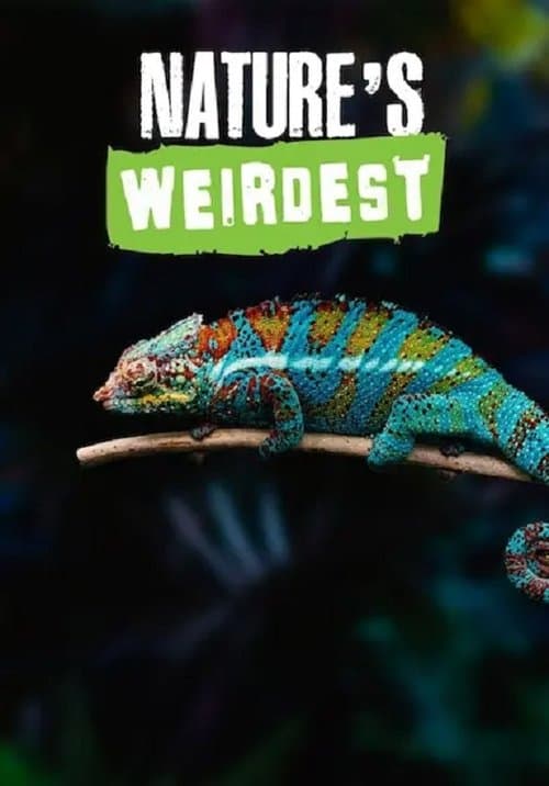 Nature's Weirdest poster