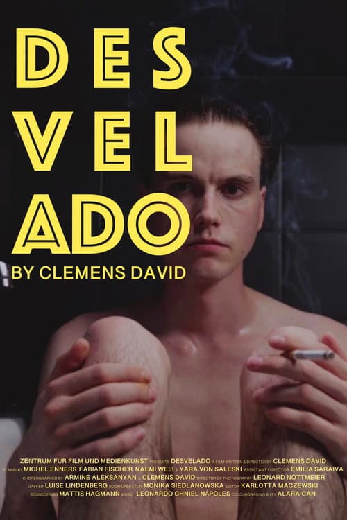 DESVELADO poster