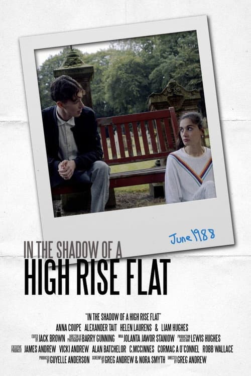 In The Shadow of a High Rise Flat poster