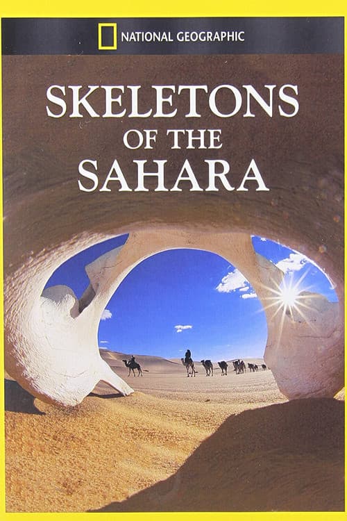 Skeletons of the Sahara poster