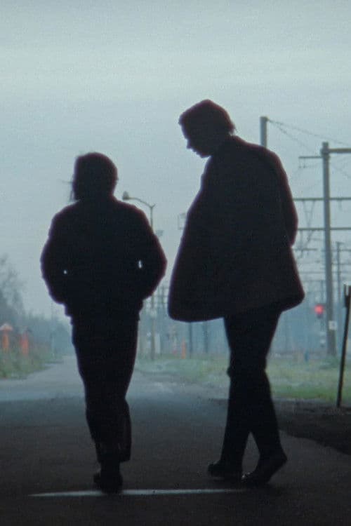 White Goldfish poster