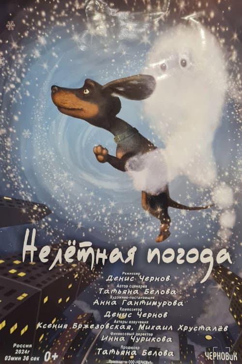 Нелётная погода poster