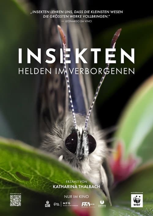 Insekten - Helden im Verborgenen poster