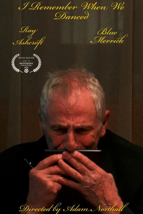 I Remember When We Danced poster