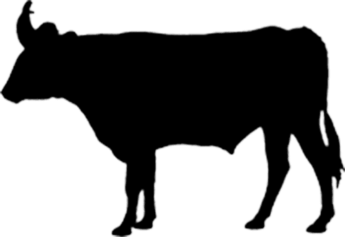 Beef and Sage Productions