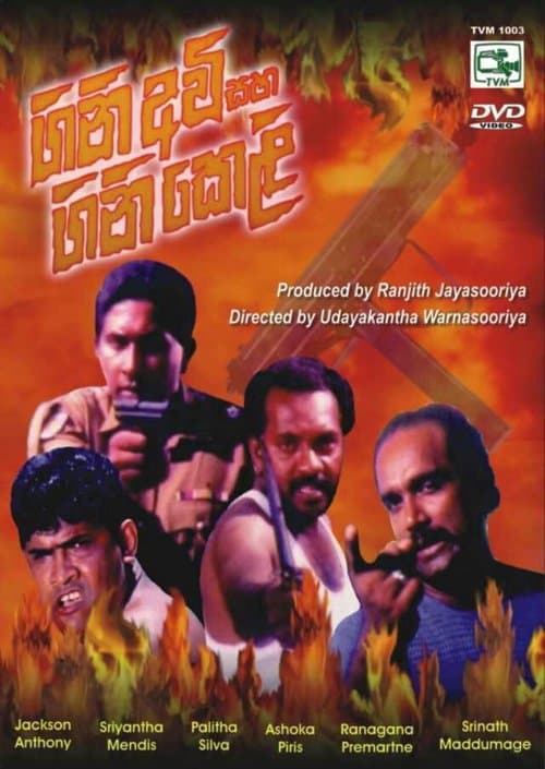 Firearms and Fireworks poster