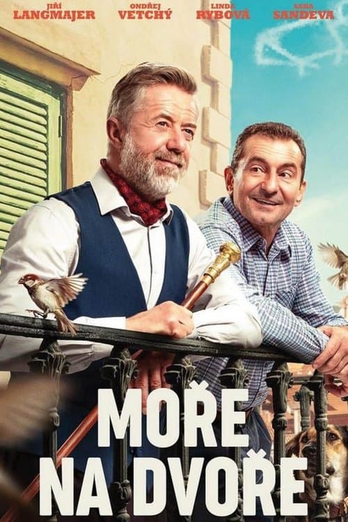 Moře na dvoře poster