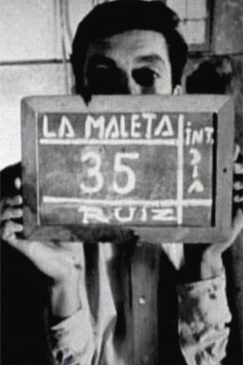 The Suitcase poster