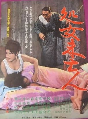 Shojo mibōjin poster