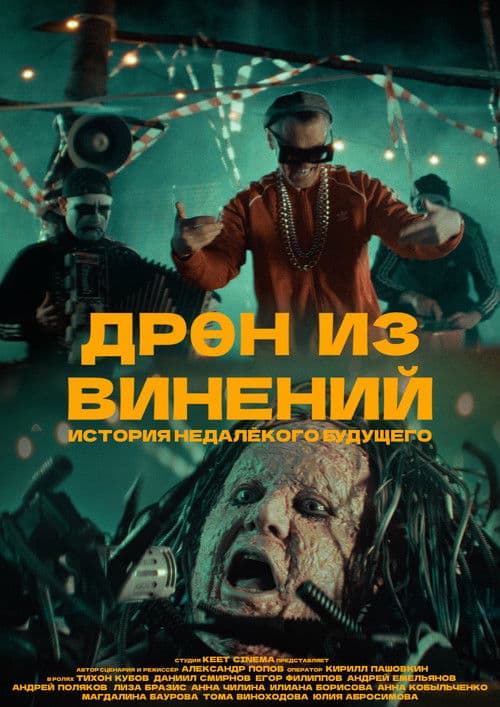 Dren Iz Vineniy poster