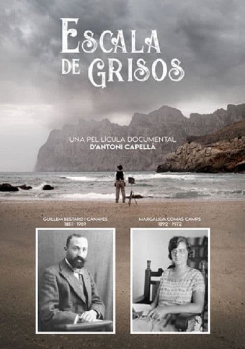 Escala de grisos poster