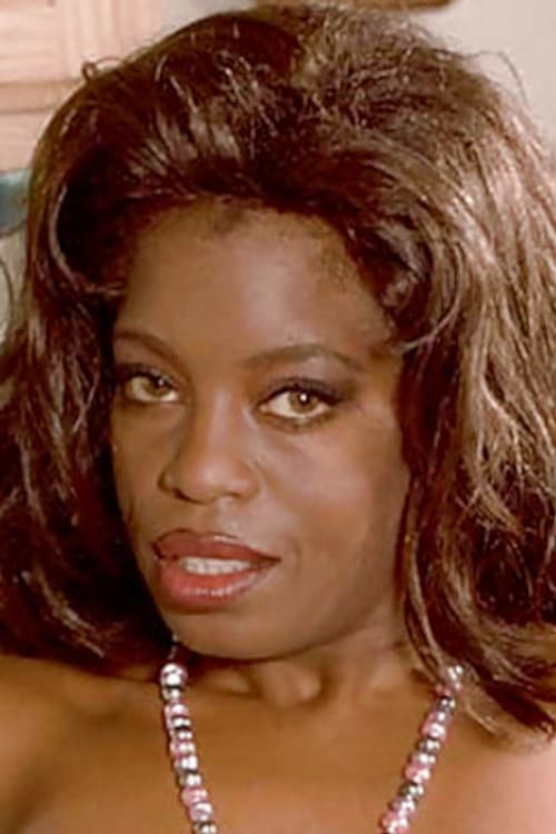 Stormy Shores profile photo