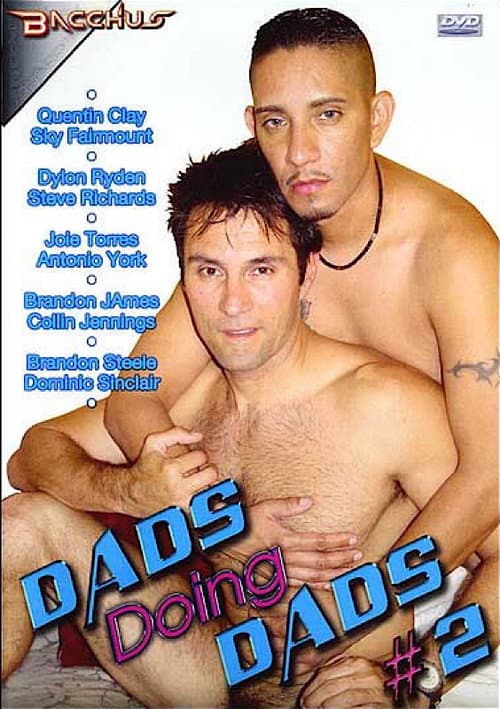 Dads Doing Dads 2 poster