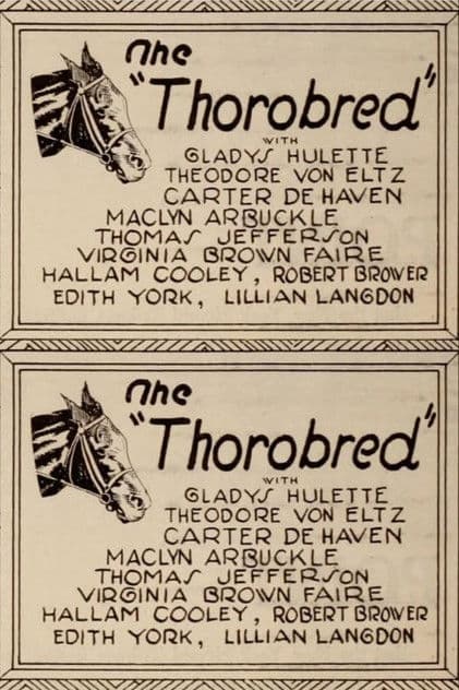 The Thoroughbred poster