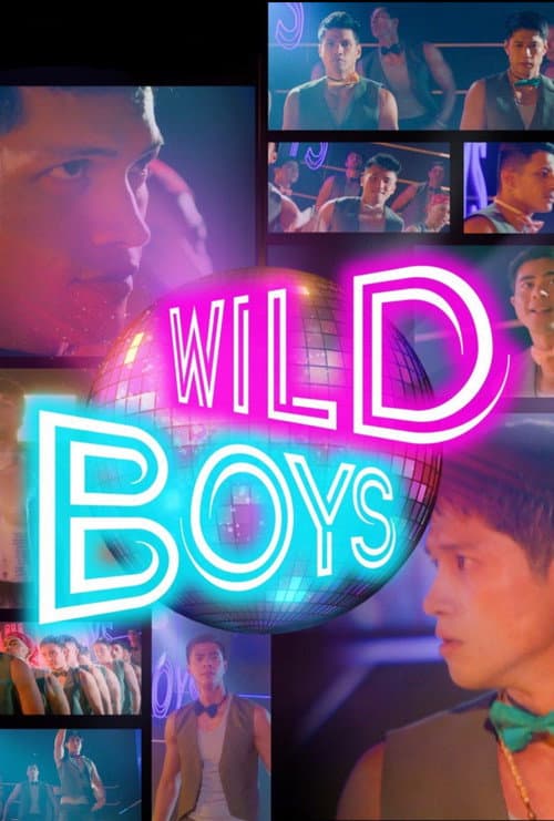 Wild Boys poster