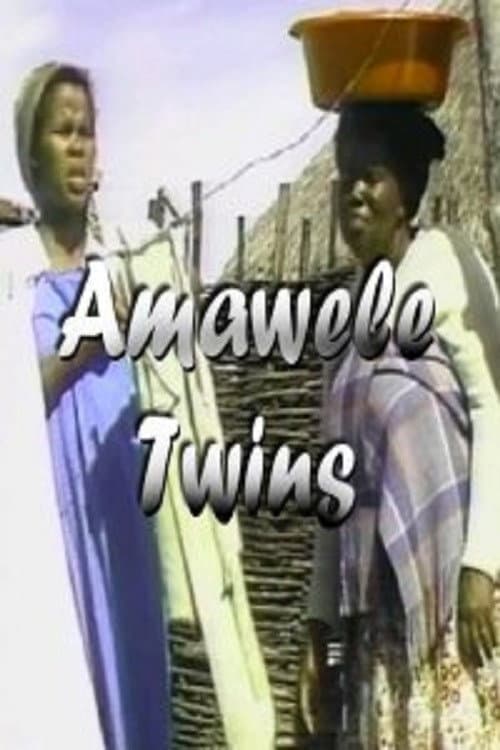 Twins poster