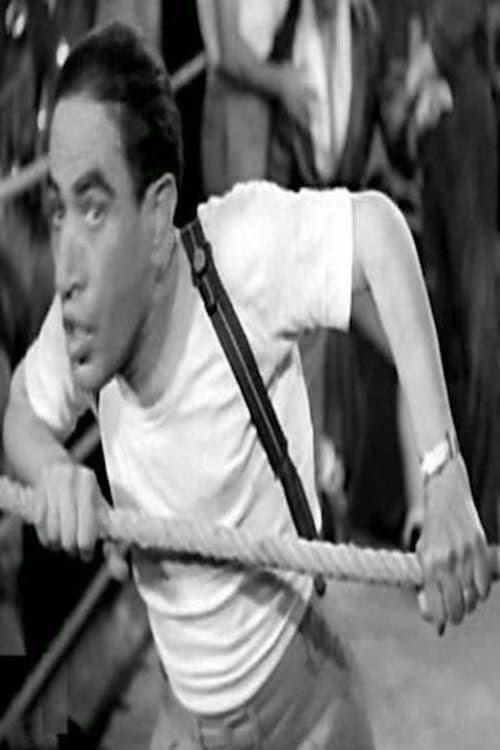 Ali Tabangat profile photo