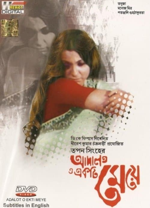 The Law and a Lady poster