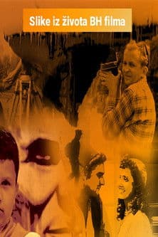 Scenes from the Life of BH Film poster