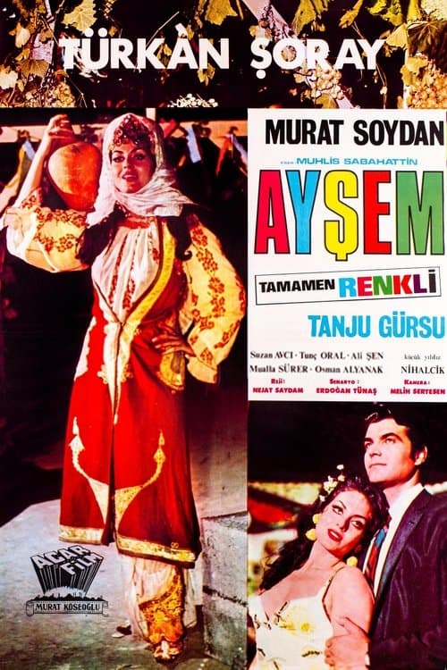 Ayşem poster