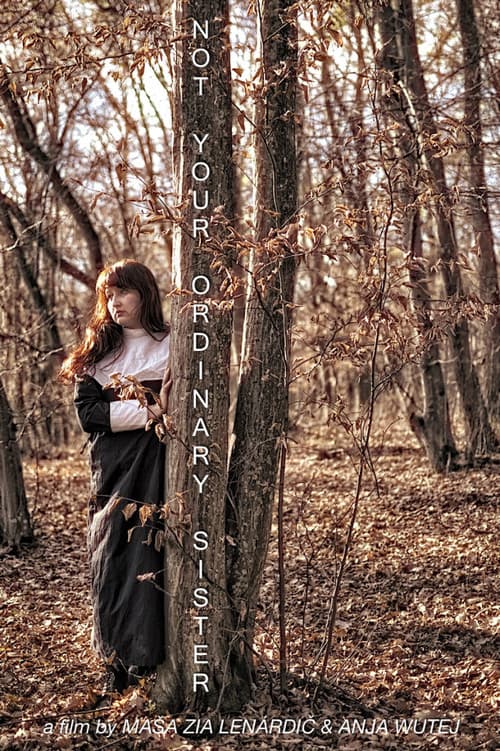 Not Your Ordinary Sister poster
