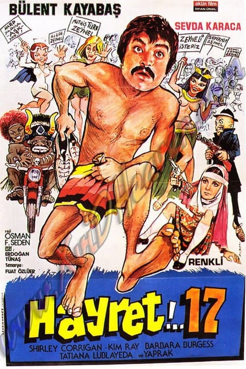 Hayret 17 poster