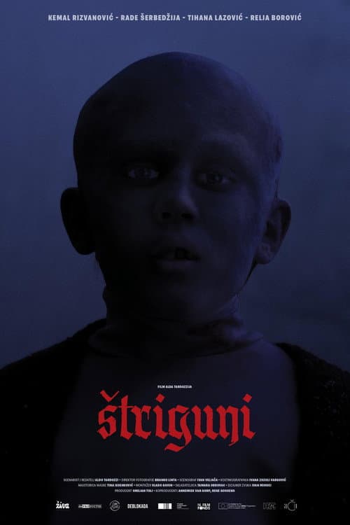 Striguni poster