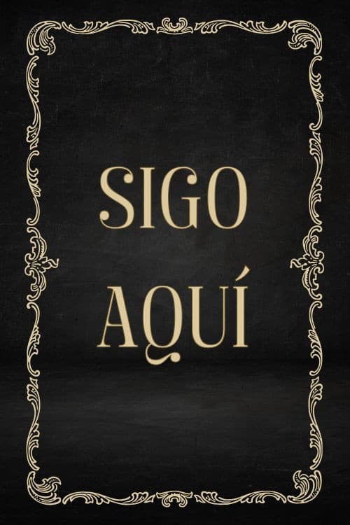 Sigo aquí poster