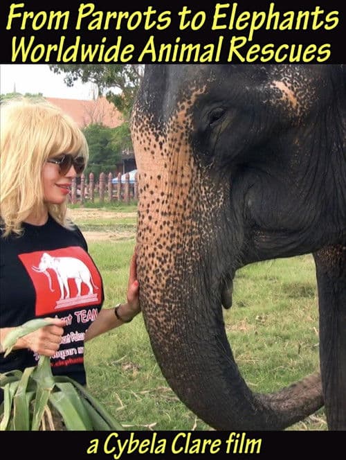 From Parrots to Elephants: Worldwide Animal Rescues poster