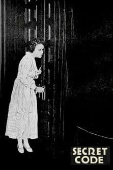 The Secret Code poster