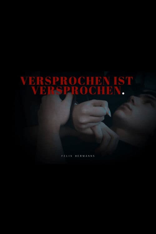Versprochen Ist Versprochen poster