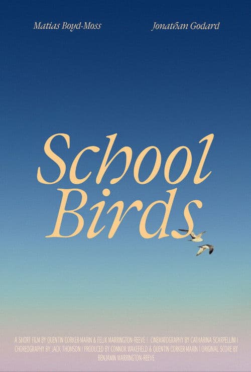 School Birds poster
