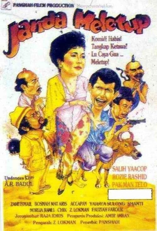 Janda Meletup poster