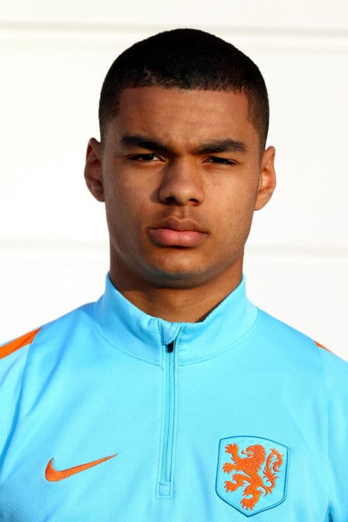 Cody Gakpo profile photo