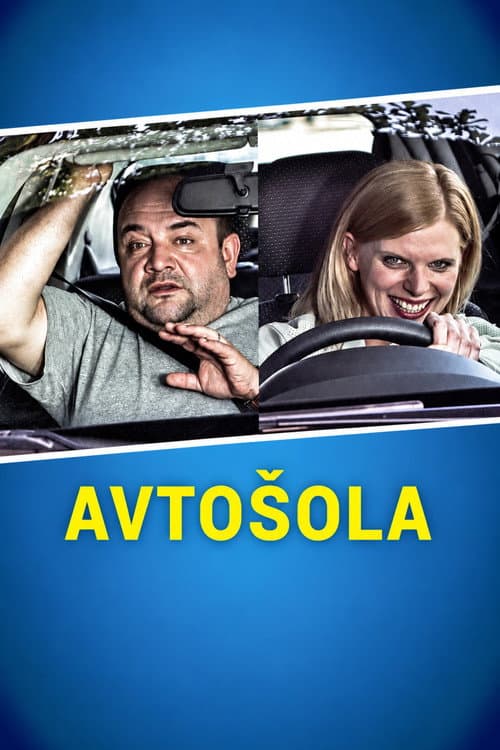 Driving School poster