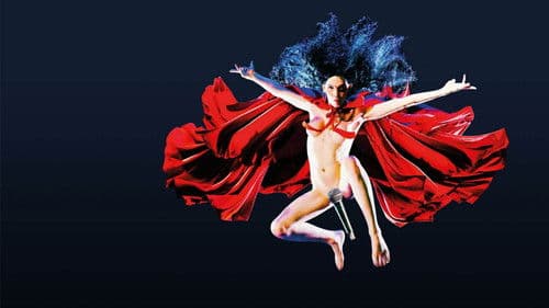 Jordan Gray: Is It A Bird? poster