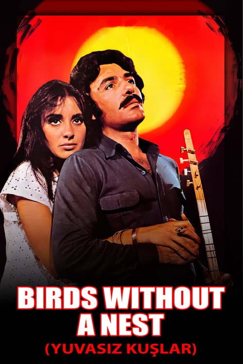 Yuvasız Kuşlar poster