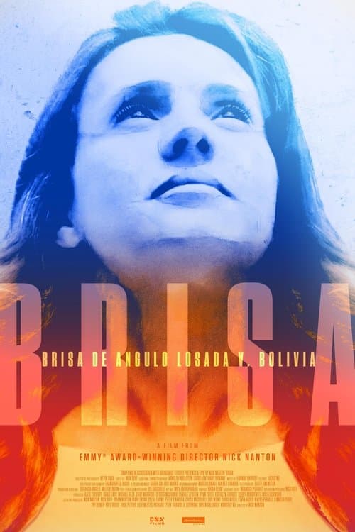 Brisa poster