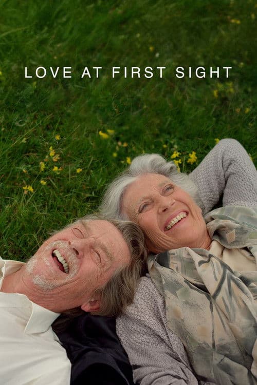 Love at First Sight poster