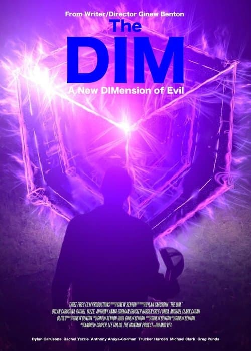 The Dim poster