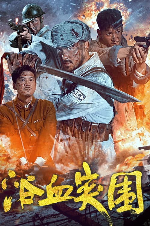 浴血突围 poster