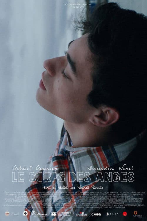 Body of Angels poster