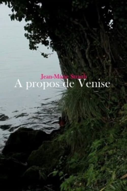 Concerning Venice poster