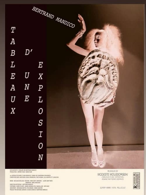 Tableaux d'une explosion poster