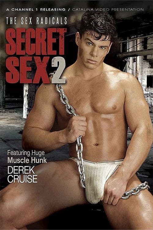 Secret Sex 2: The Sex Radicals poster
