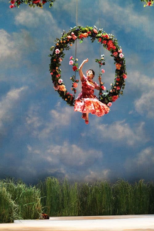 Donizetti: Don Pasquale poster