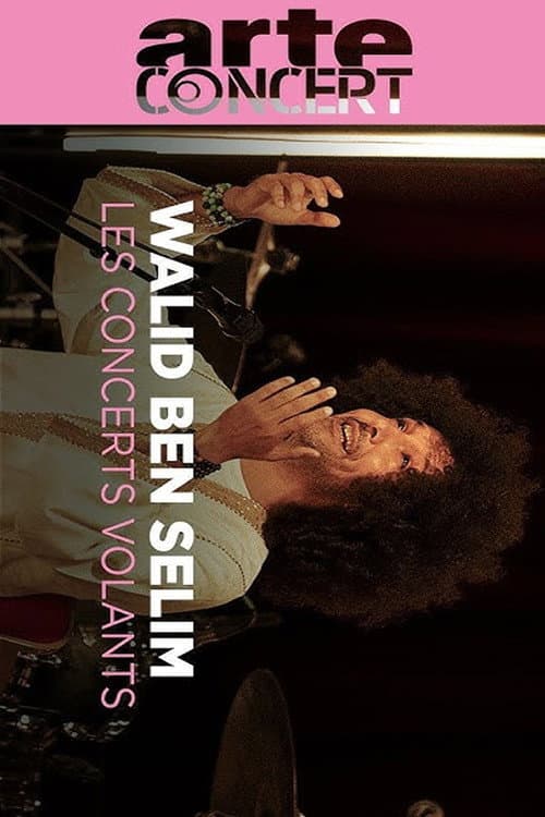 Walid Ben Selim @ Journeys Through Music poster