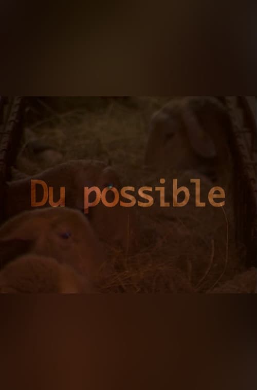 Du possible poster