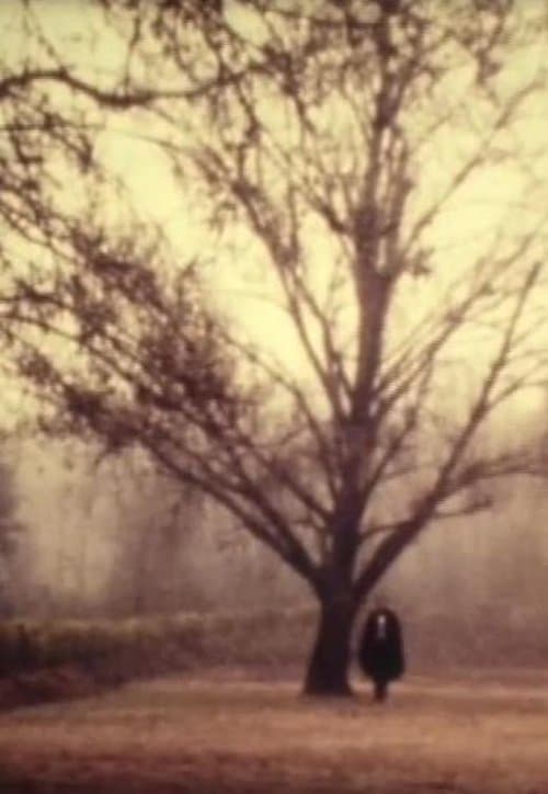 D. Jaime or the Portuguese Night poster