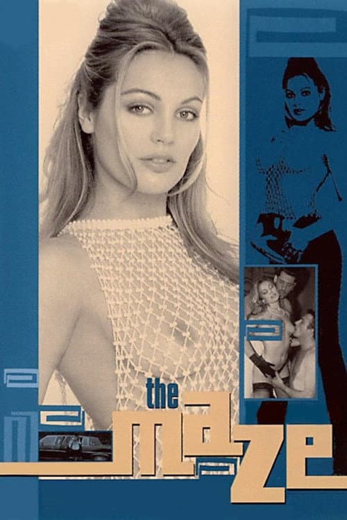 The Maze poster